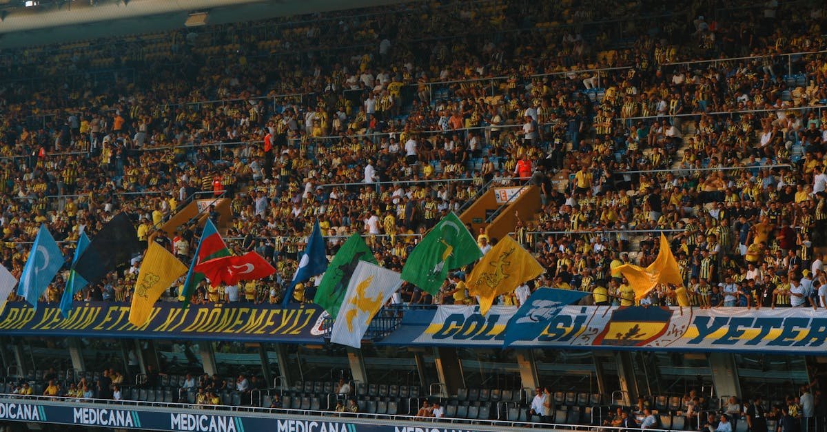 Crowd of enthusiastic soccer fans with vibrant flags in a stadium.